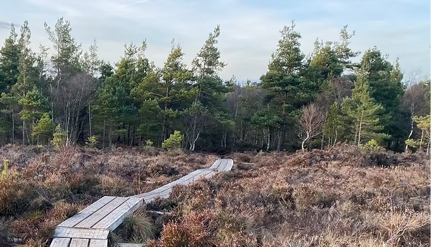 Abbeyleix Day Walks