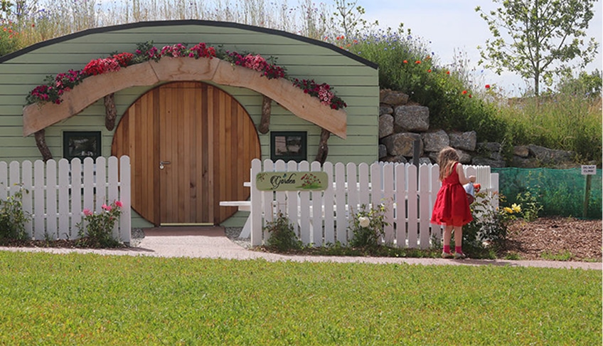 Glamping Under the Stars